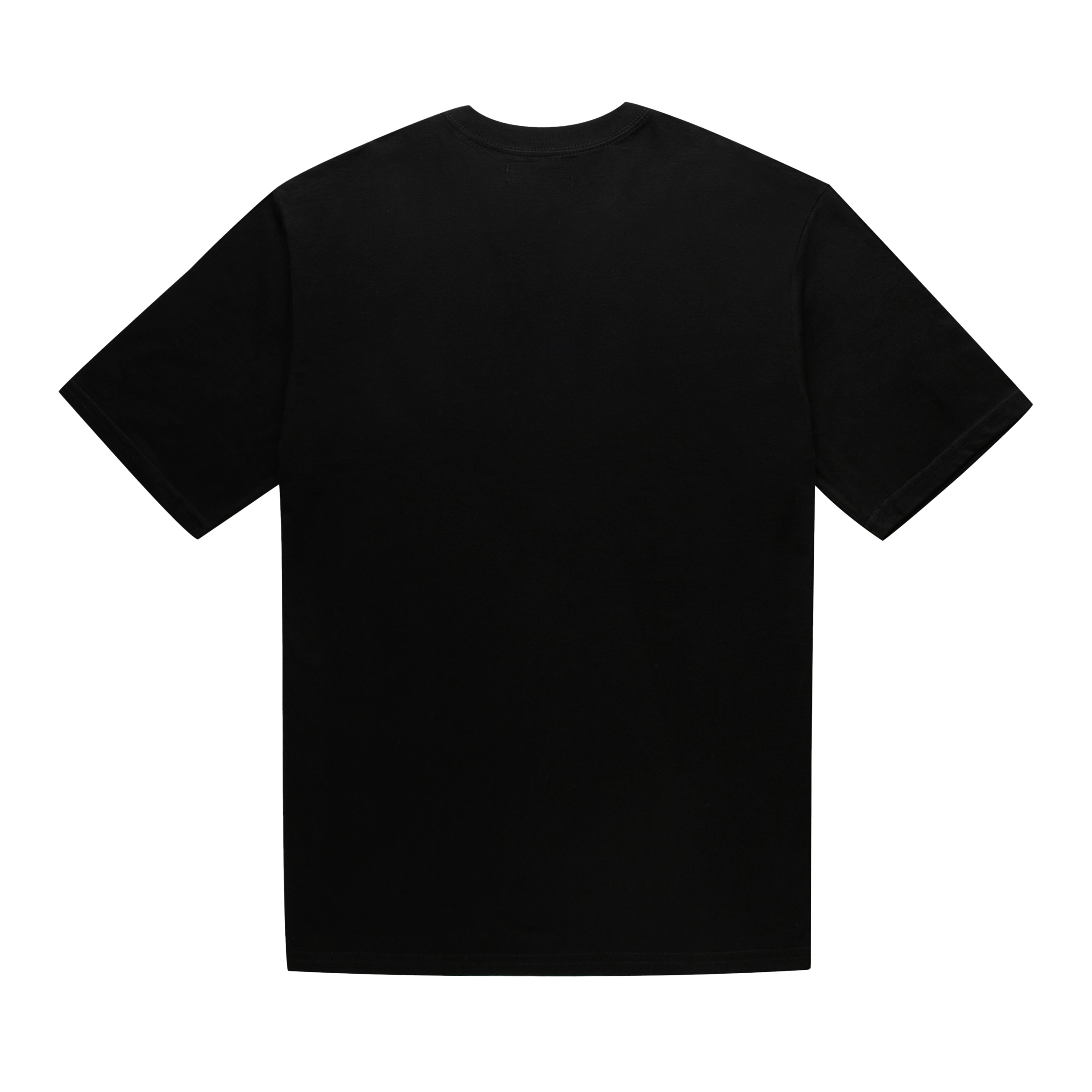 Tee_Downtown_Black_Back.jpg