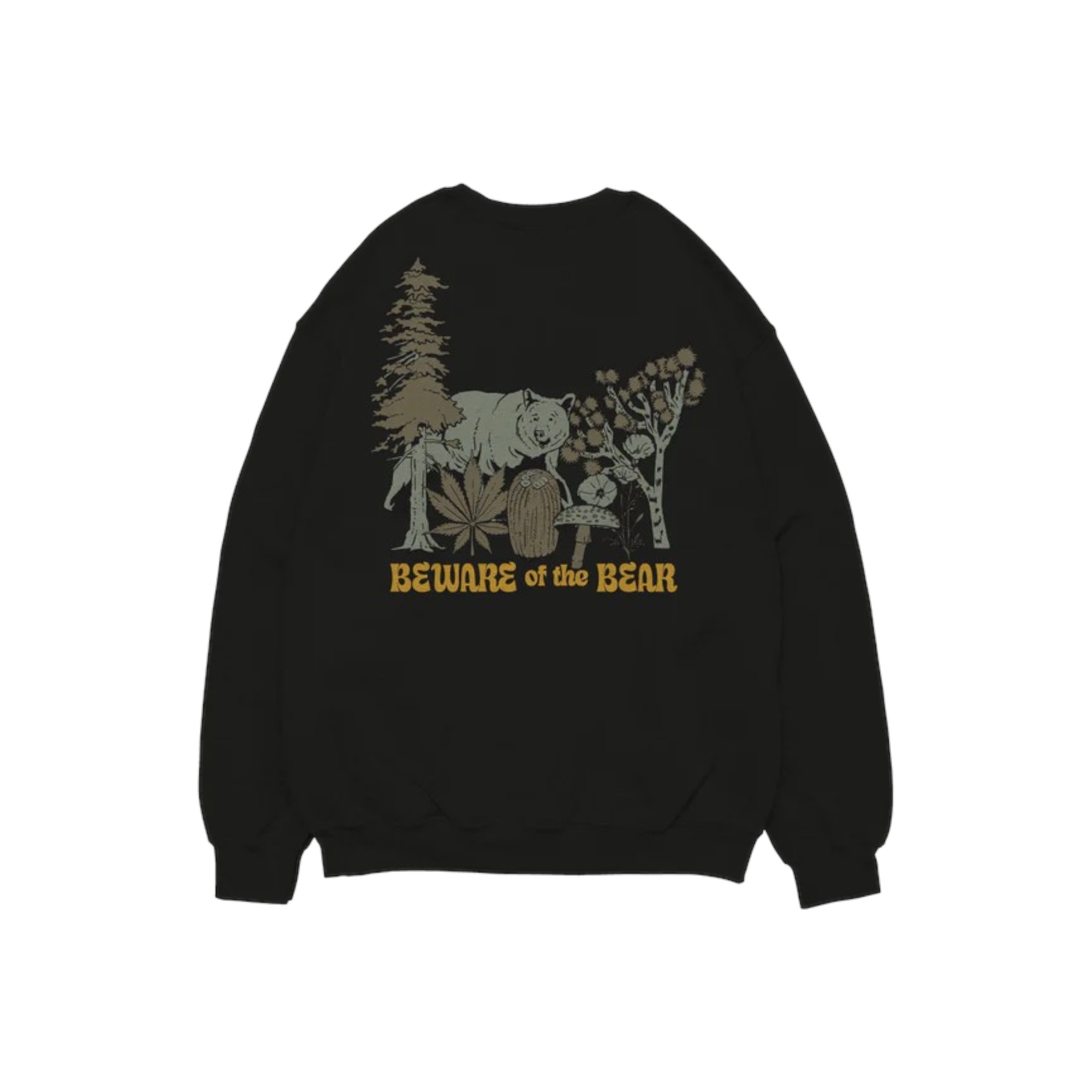 grizzly-costa.jpg
