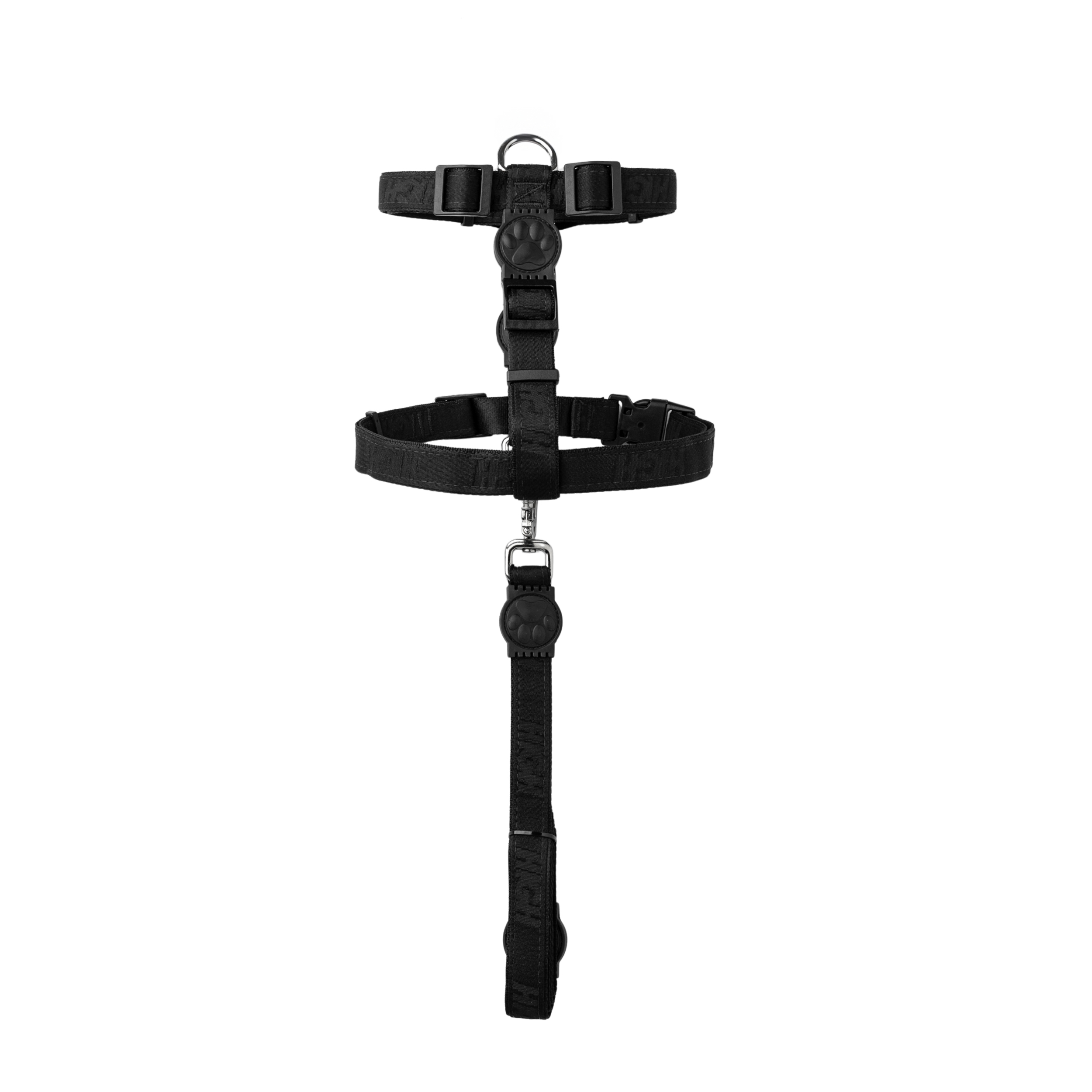 Dog_Collar_Black_Detail