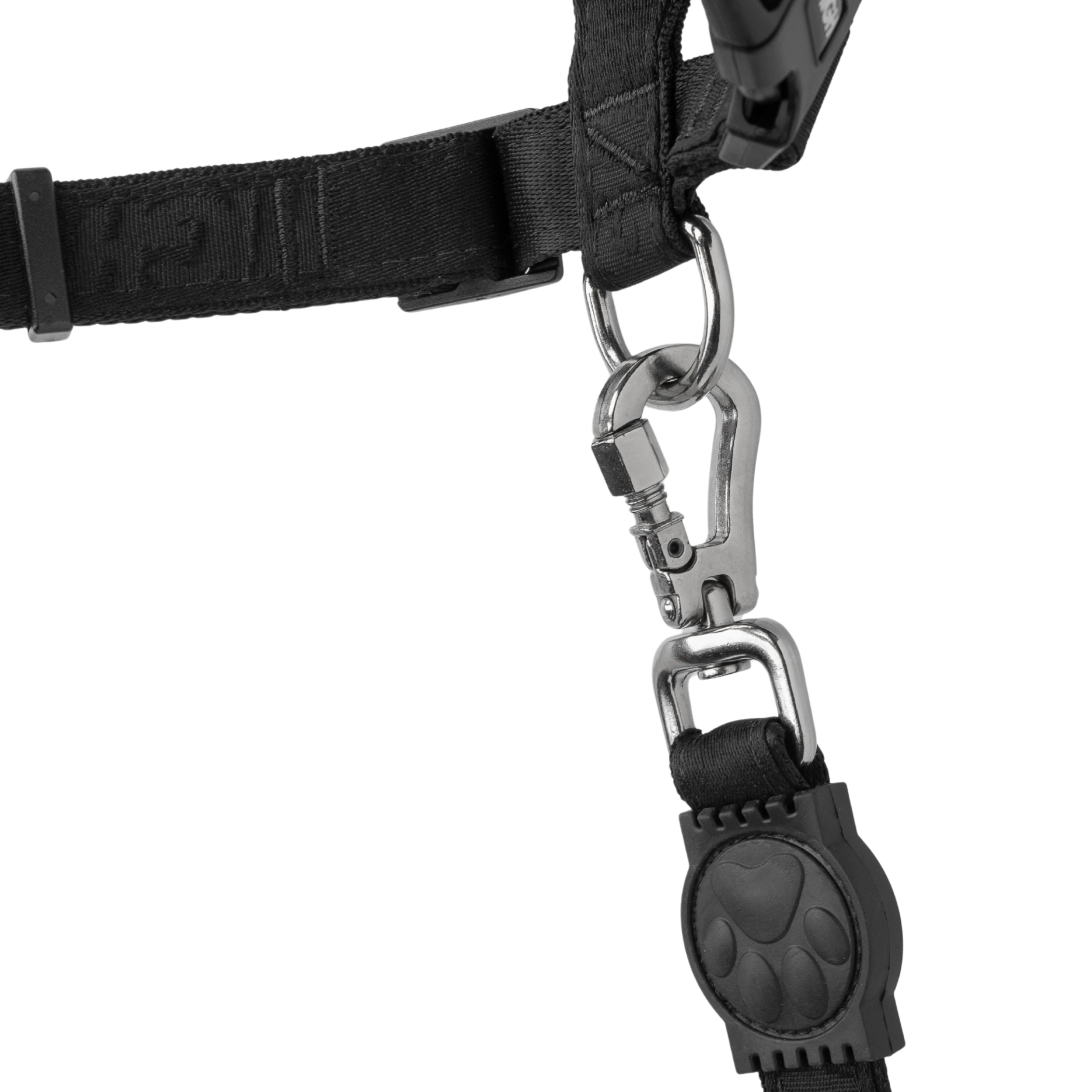 Dog_Collar_Black_Detail_3