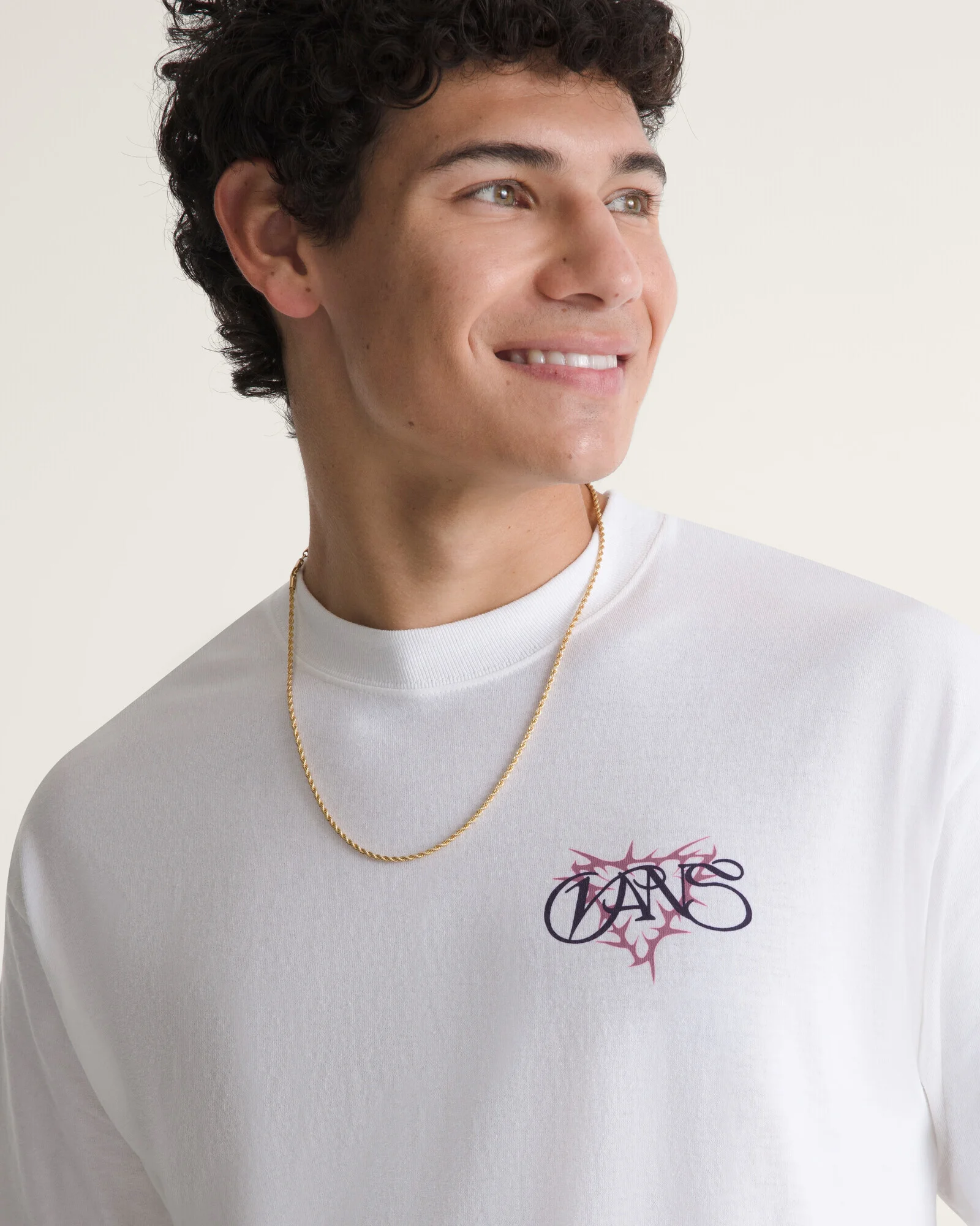 Hires-Vans-V4703102090003-05