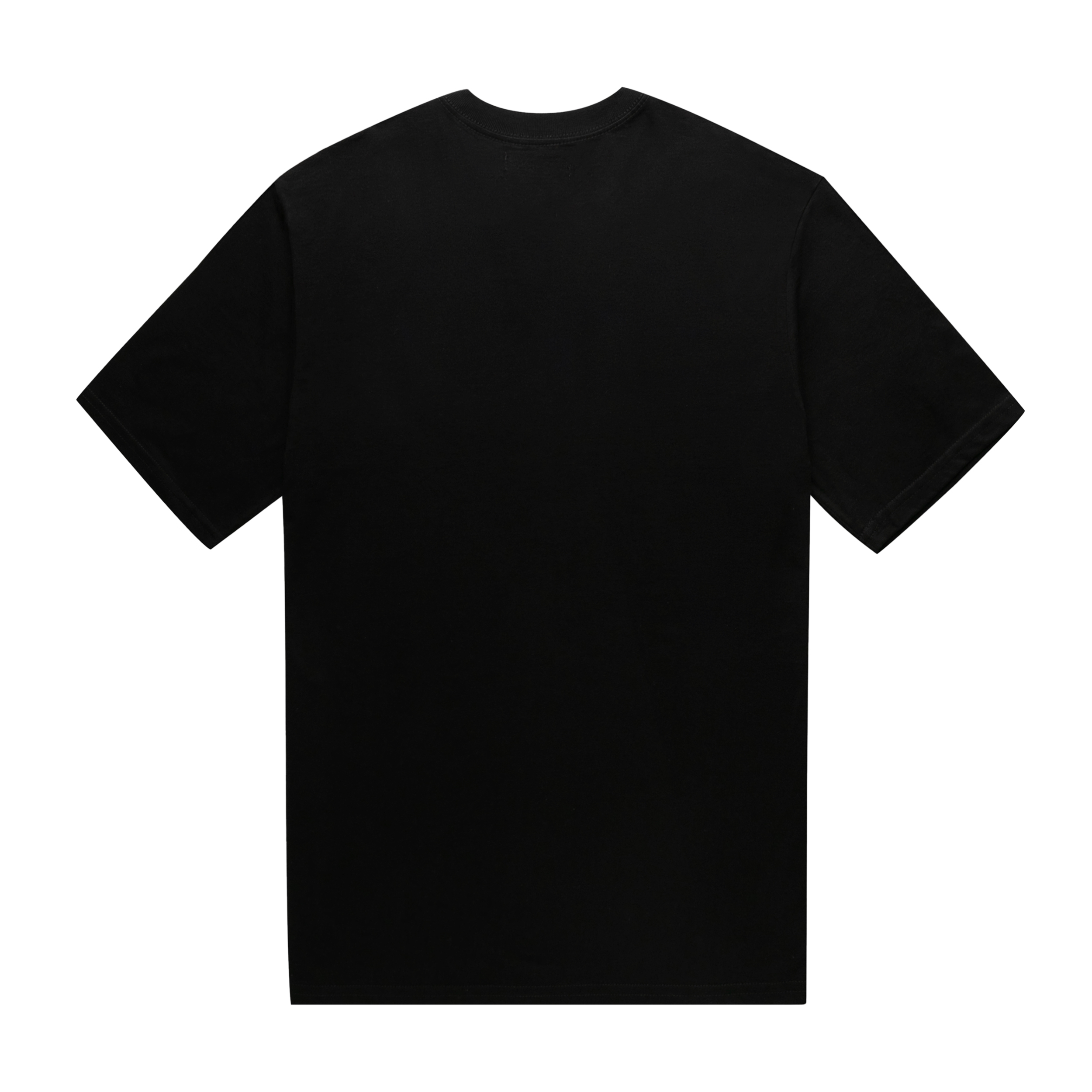 TS774-01_Vanitas_Tee_Black_Back